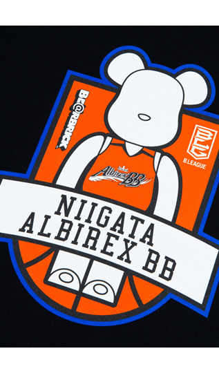 /WI/upimage/0014_NIIGATA-ALBIREX-BB.png