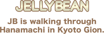 JELLYBEAN JB is walking through Hanamachi in Kyoto Gion.
